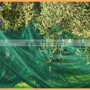 Factory supply HDPE olive collecting nuts harvesting netting