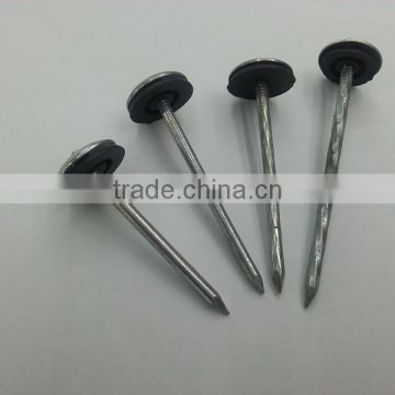 umbrella head roofing nails