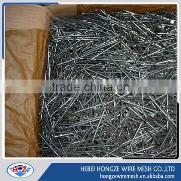 bright common nail/Iron nail/Wire nail factory