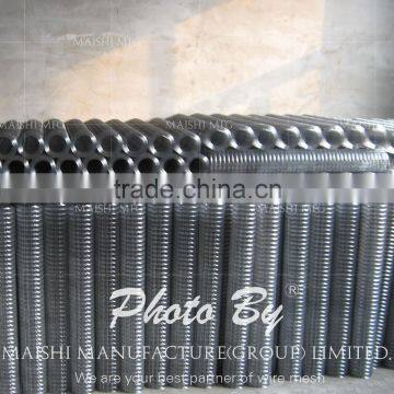50x50mm Welded Wire Mesh photo-3