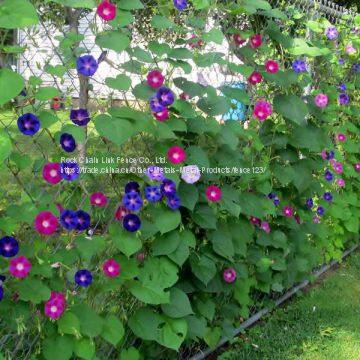 Residential Chain Link Fence