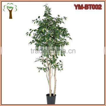Artificial Birch Tree for Hotel Lobby Decor photo-2