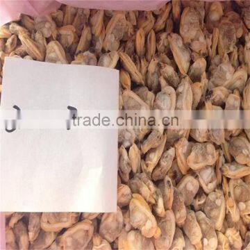 Tasty Best IQF Baby Clam Without Shell photo-3