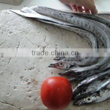 Best Price Chinese Frozen Fish Surimi to Make Fish Ball photo-3