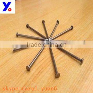 10d Common Wire Nail From ShiJiaZhuang Supplier photo-2