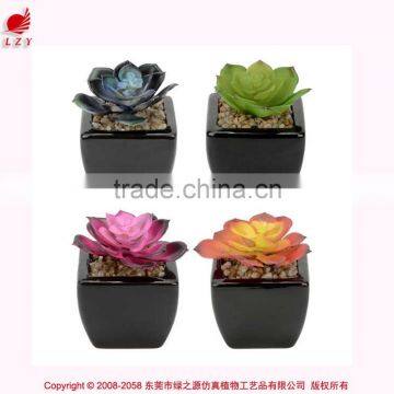 Mini artificial succulent plants artificial succulents tropical plant wholesale