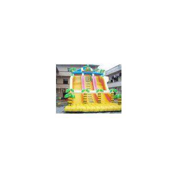 Inflatable Slide with Pool/Inflatable Water Slide /Inflatable Water /Inflatable Toy (LT-SL