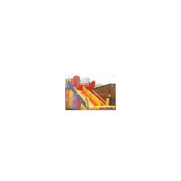 Inflatable Slide, Inflatable water slide, inflatable Bouncy Castle