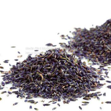 Improve Sleep Lavender Flower Herbal Tea
