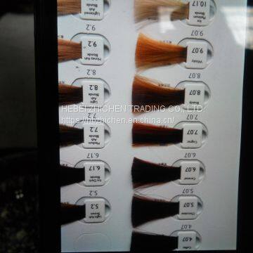 Detachable Hair Color Chart photo-2