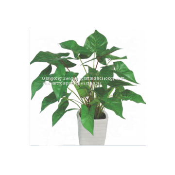 china wholesale artificial caladium tree bonsai for decoration with real looking leaves