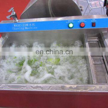 CE Qualified Commercial Frozen Meat Thawing Machine With Heating Function photo-6