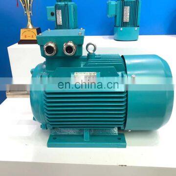 YE2 Series High Performance Electric Motor Industrial 3 Phase Asynchronous Motor 380V/400V/415V Machine Motor photo-2