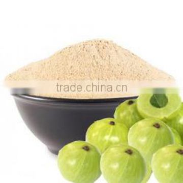 Premium Grade Embilica Officinalis Powder At Your Door Step