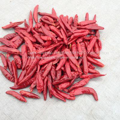 Dried Hot Chaotian Chili Sanying Chili Stemless Tianjin Chili 8000 to 10000 SHUfree of Aflatoxin Chilli photo-5