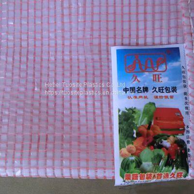 50kg Onion Potatoes Bag Agriculture New Polypropylene Material PP Mesh Bag photo-4