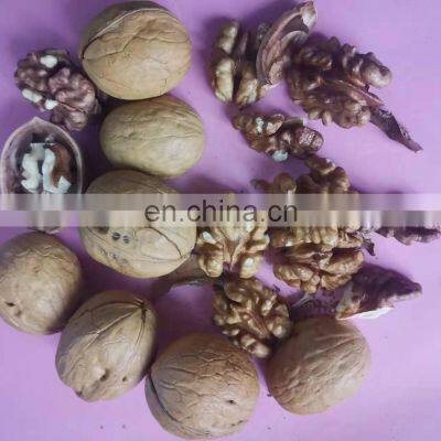 we buy walnuts from china the type is dry fruit Honey walnut shelled walnut