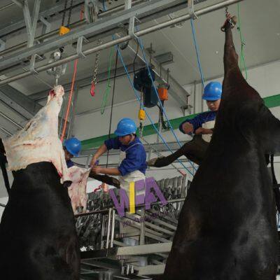 Design Mini Cow Slaughterhouse Equipment Cattle Halal Meat Processing Slaughter Machine photo-3