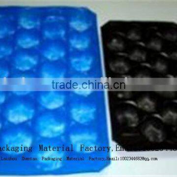 Fruit Plastic Packaging Vegetable Blister packing tray