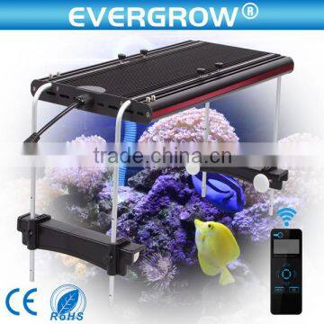 Chinese cheap coral reef used led aquarium light for freshwater fish tank