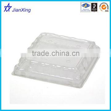 Clear plastic fruit container