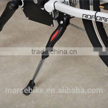 Long Range 250W Motor Suspension Electric Bike