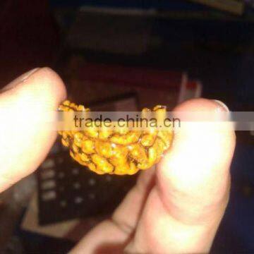 1 MUKHI RUDRAKSHA