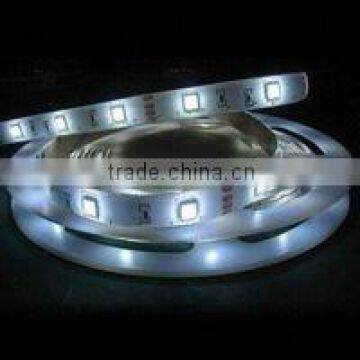 smd5050 led flexible strip 10000k Color tempeture