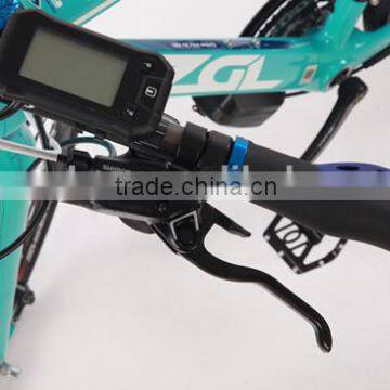 700C Carbon Fiber High Standard Electric Bicycle With 8 Fun Motor (Model YAKE MG)