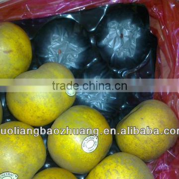 29x49cm/39x59cm PP Apple Fruit Packaging Tray