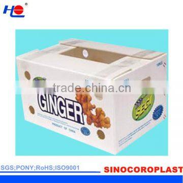 moistureproof and printed polypropylene anti-static plastic box