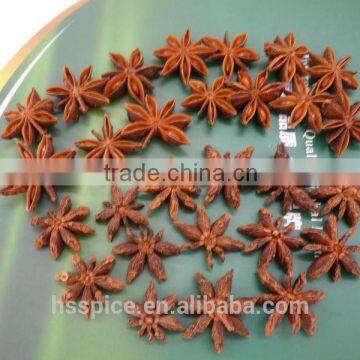 Dahong Star Aniseed photo-3