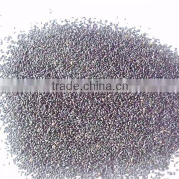 TUKAMARIA/BASIL SEEDS photo-3