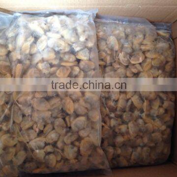 Frozen Short Neck Clam Meat photo-3