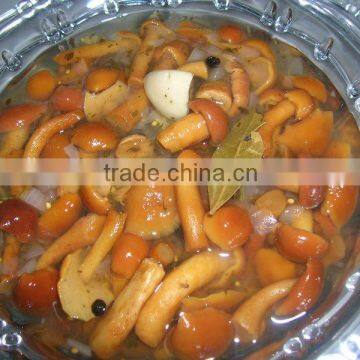 Canned Marinated Mushroom (canned nameko)