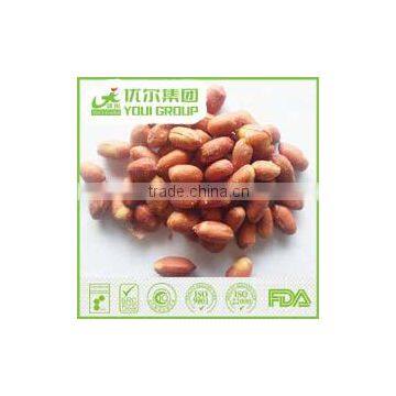 HACCP,ISO,BRC,HALAL Certification Garlic Peanuts With Best Quality and Hot Price photo-3