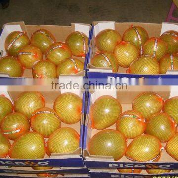 Market Price for Sweet Fresh Chinese Pomelo photo-4