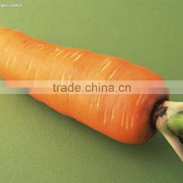 2016 chinese new crop fresh Carrot 80g up in carton