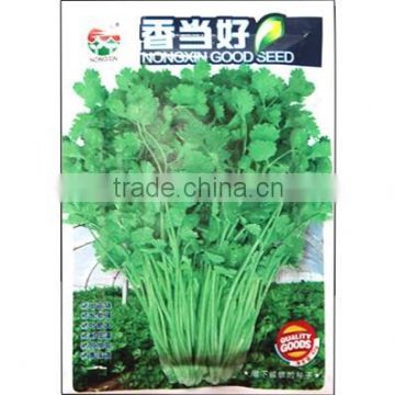 High Quality Caraway Seeds Coriander Seeds For Growing-Super Fragrance