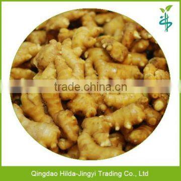 2015 wholesale ginger chinese fresh mature ginger