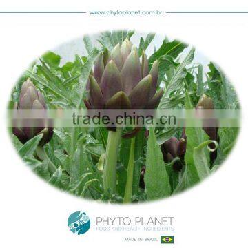 ARTICHOKE LEAVES