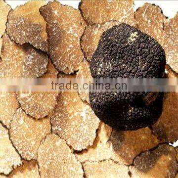 Chinese Black Truffle price