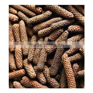 Long Pepper