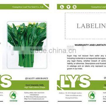 CS04 Dazhong 80 Days Cold Resistant Choy Sum Seeds of Vegetable Seeds photo-2