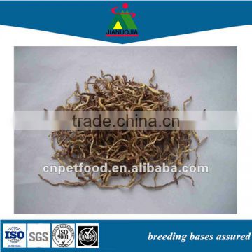 fish turkey chicken food dried freeze red blood worms