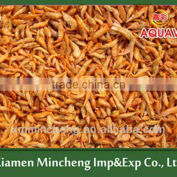 FD Red Shrimp ,Fish Feed