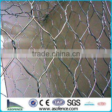 Galvanized Hexagonal Poultry Wire Netting (Anping A.S.O Factory)