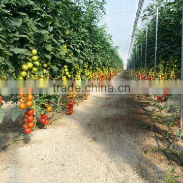 Latest Price For Calcium Ammonium Nitrate Fertilizer