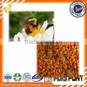 Tea Pollen From the Biggest Bee Industry Zone of China