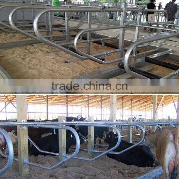 Hot dipped galvanized cattle free stall